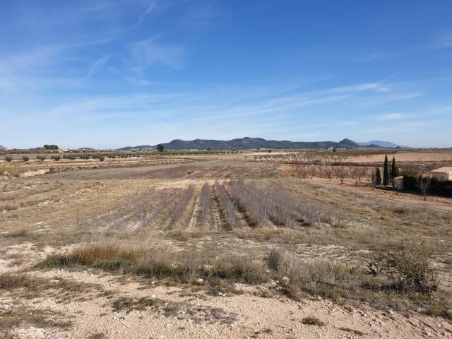 Land for sale in Pinoso
