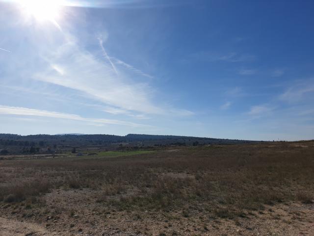 Land for sale in Pinoso