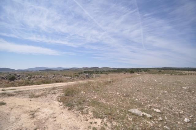 Land for sale in Pinoso