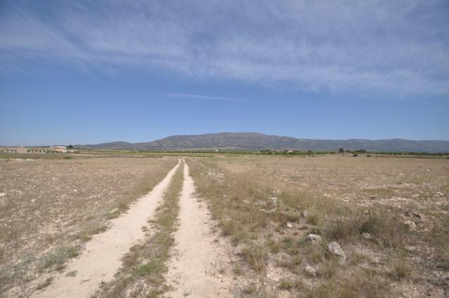 Land for sale in Pinoso