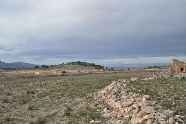 Restoration Project for sale in Torre Del Rico