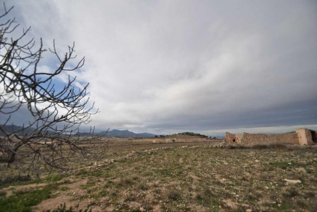 Restoration Project for sale in Torre Del Rico