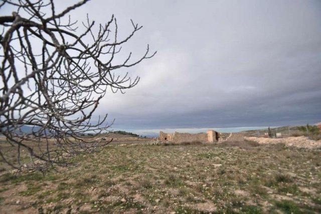 Restoration Project for sale in Torre Del Rico