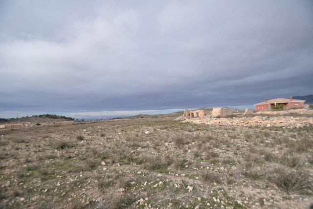 Restoration Project for sale in Torre Del Rico