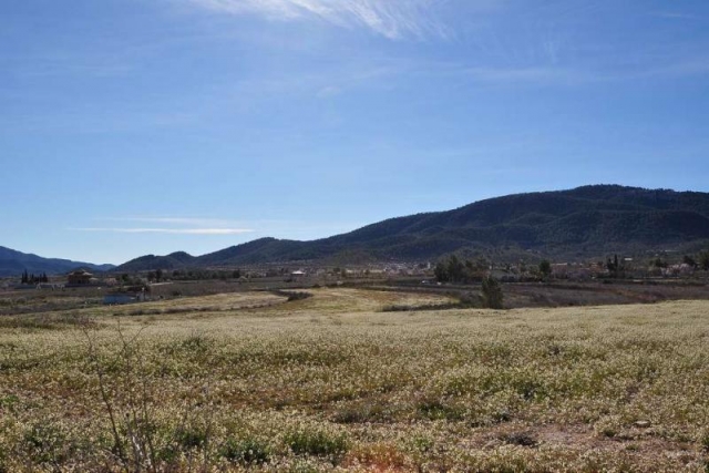 Land for sale in Chinorlet