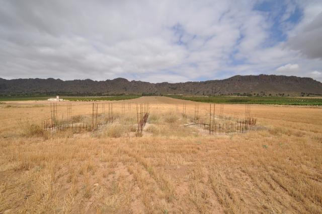 Land for sale in Yecla