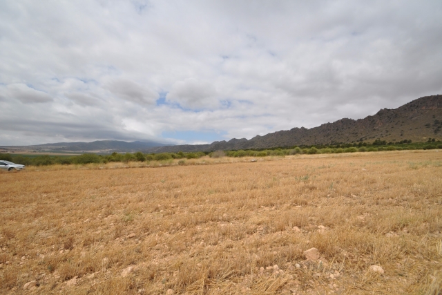 Land for sale in Yecla