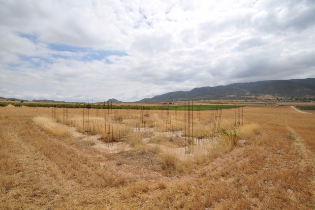 Land for sale in Yecla