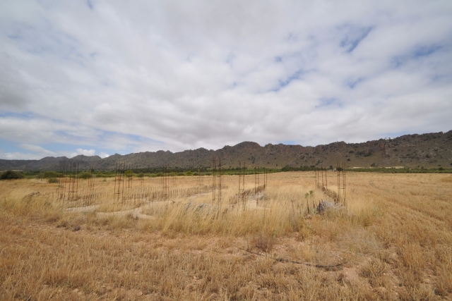 Land for sale in Yecla