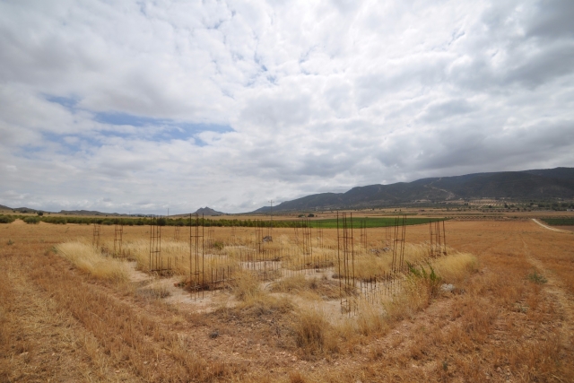 Land for sale in Yecla