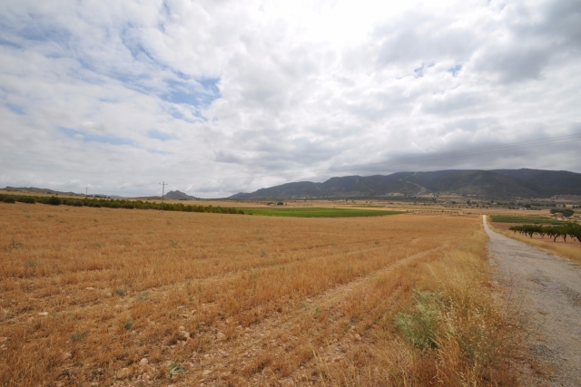 Land for sale in Yecla