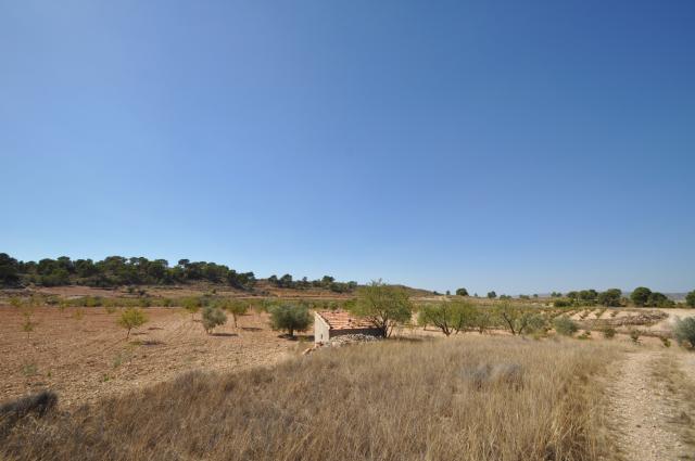 Land for sale in Torre Del Rico