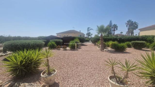 3 bedroom Country Property in Catral