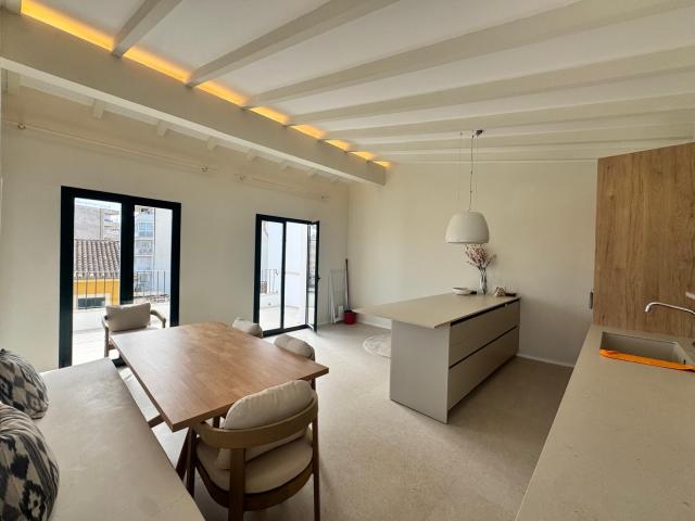 3 bedroom PENTHOUSE in PALMA