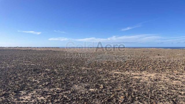 Land for sale in Majanicho