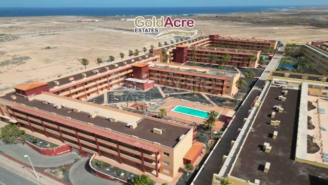 2 bedroom Apartment in Parque Holandes