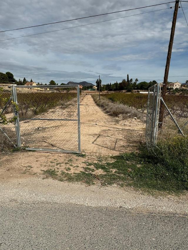 Land for sale in Monóvar