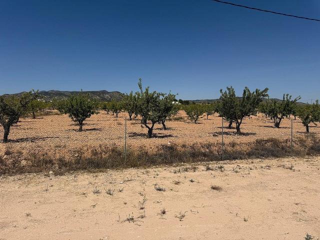 3 bedroom Villa in Pinoso