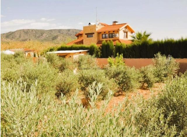 5 bedroom Villa in Pinoso