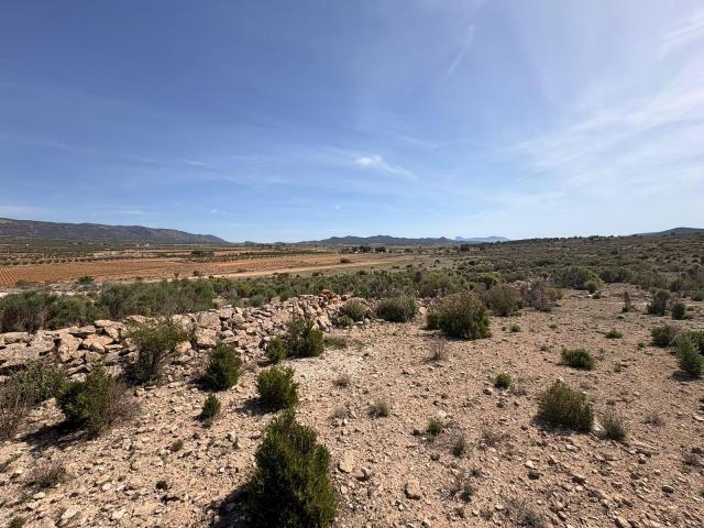 Land for sale in Pinoso