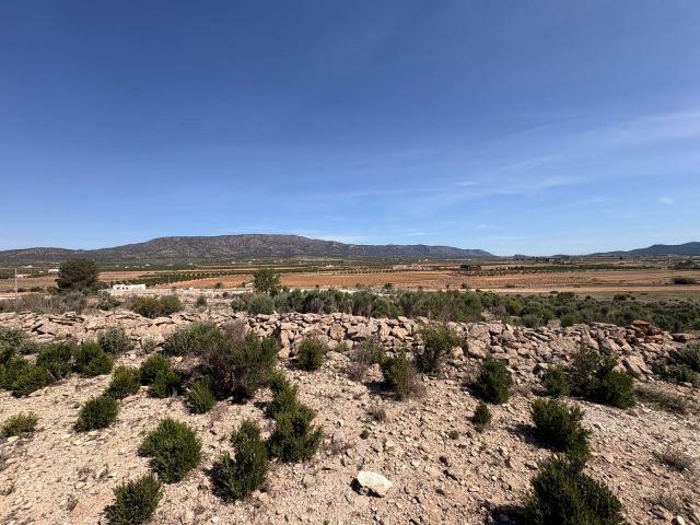 Land for sale in Pinoso