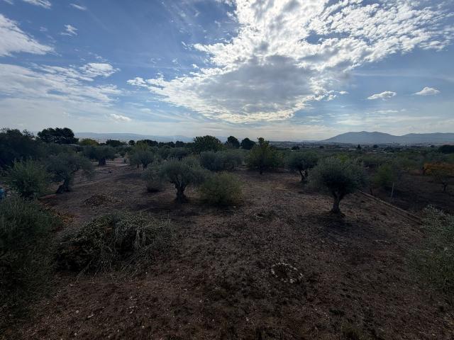 3 bedroom Villa in Caudete