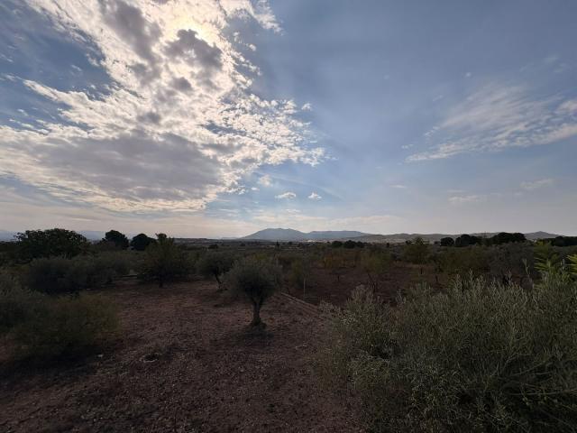 3 bedroom Villa in Caudete