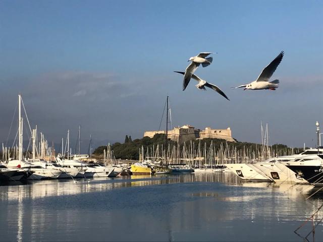 3 bedroom Apartment in Antibes