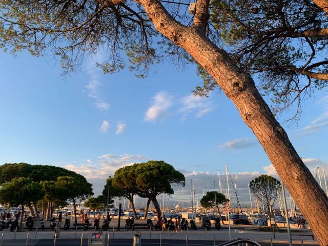 3 bedroom Apartment in Antibes