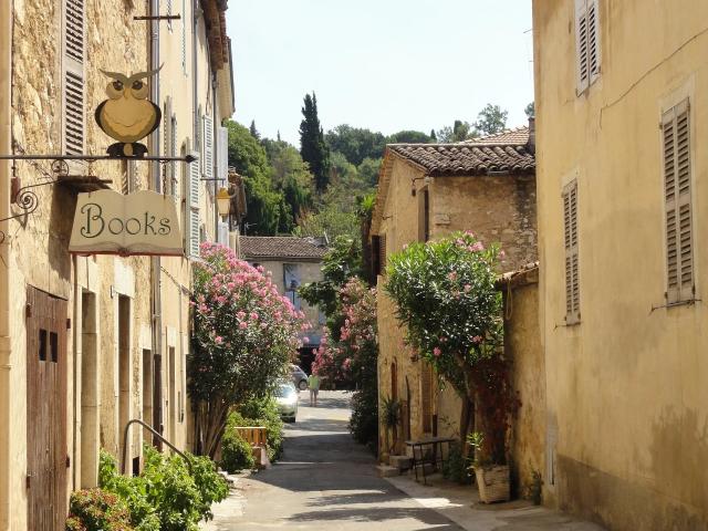 1 bedroom Apartment in Valbonne