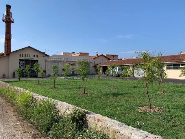 2 bedroom Apartment in Golfe-Juan