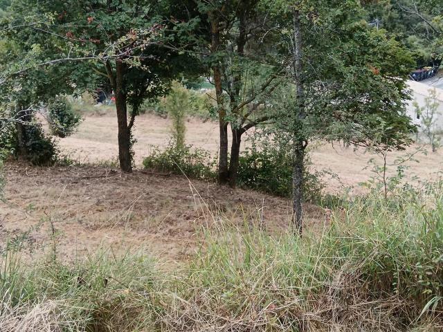 Land for sale in Vence