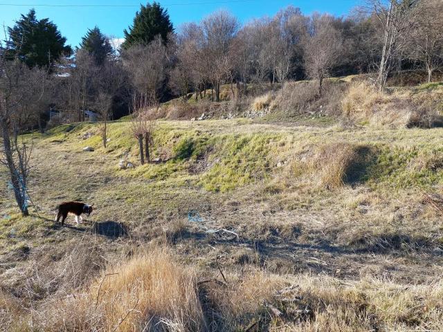 Land for sale in Vence