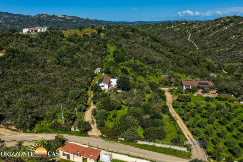 Sardinia northeast coast, Panoramic Villa at Sole Ruju - Olbia