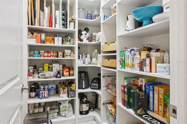 10693 PETRILLO WAY,WINTER GARDEN,Orange,Residential