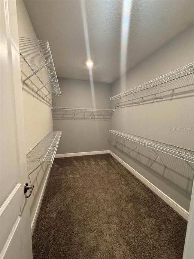 10732 PAHOKEE BEACH PLACE,ORLANDO,Orange,Residential