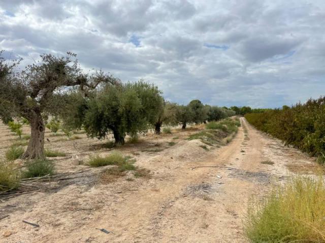 2 bedroom Country House in Cieza