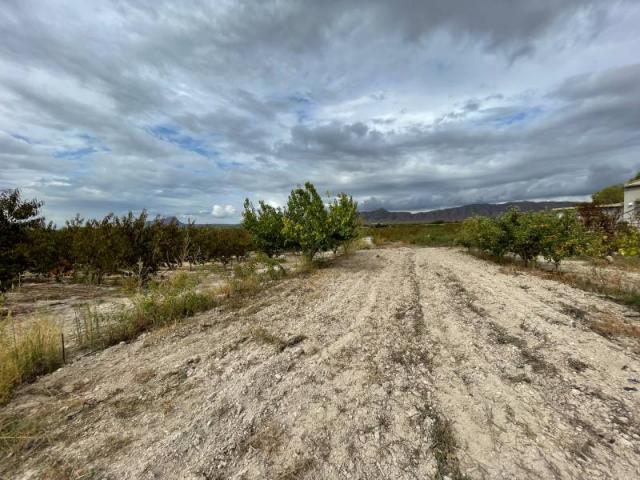 2 bedroom Country House in Cieza