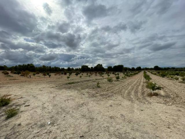 2 bedroom Country House in Cieza