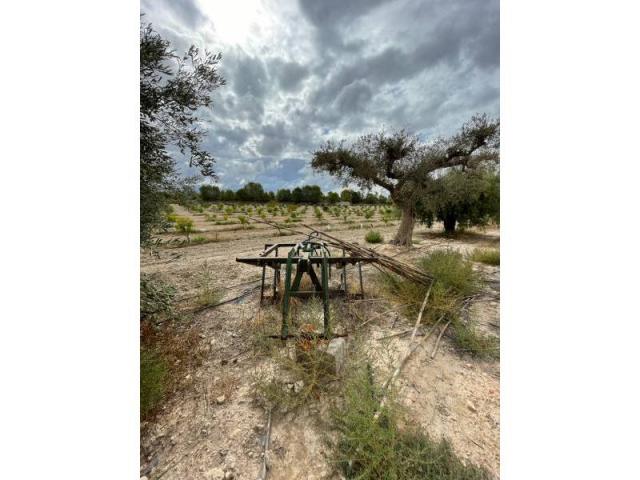 2 bedroom Country House in Cieza