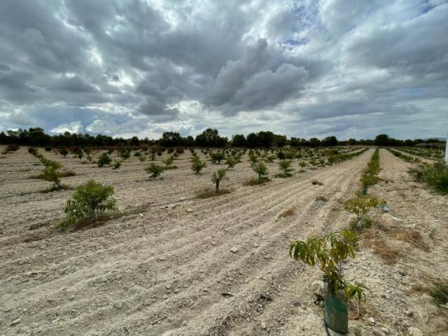 2 bedroom Country House in Cieza