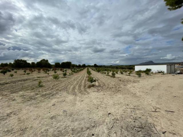 2 bedroom Country House in Cieza