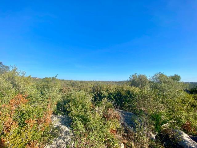 plot for sale in Boliqueime