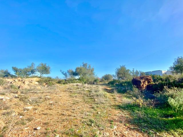 plot for sale in Boliqueime