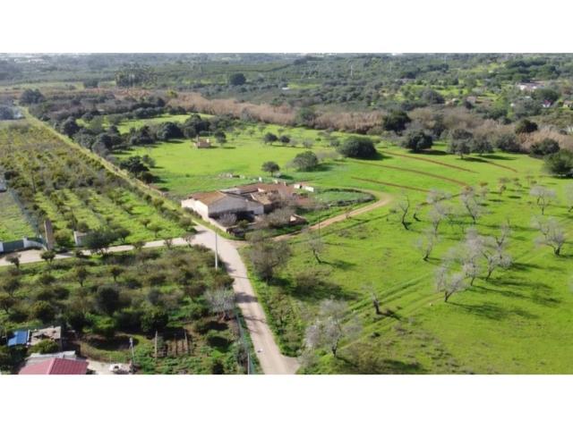 plot for sale in Boliqueime