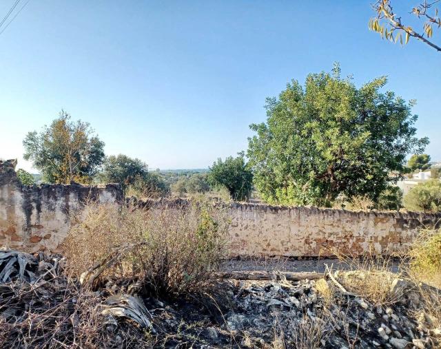 plot for sale in Boliqueime