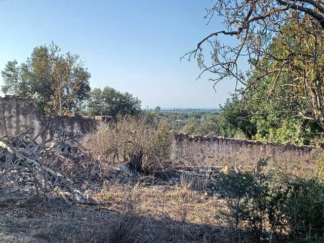plot for sale in Boliqueime