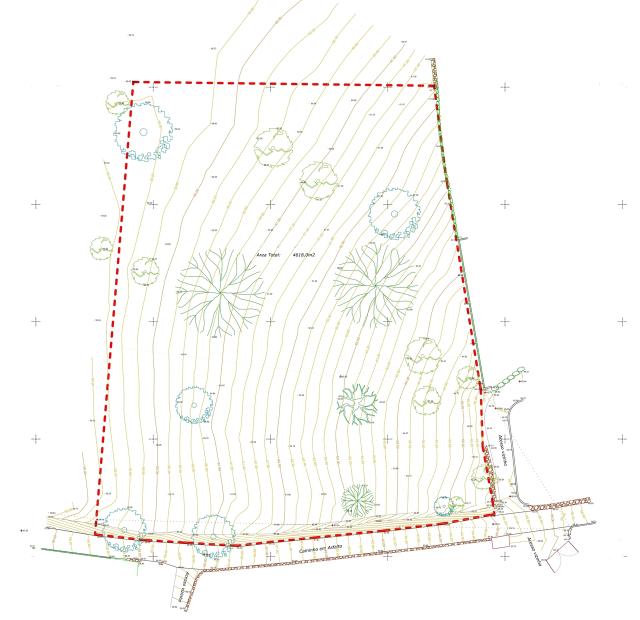 plot for sale in Boliqueime