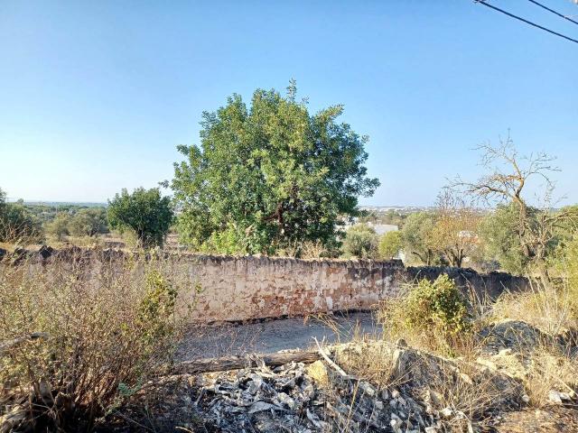 plot for sale in Boliqueime