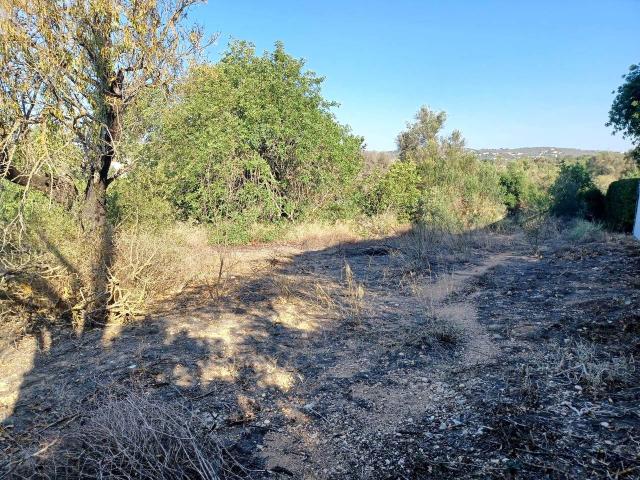plot for sale in Boliqueime